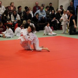 IMG 3089  Small - Judoclub Zaventem 